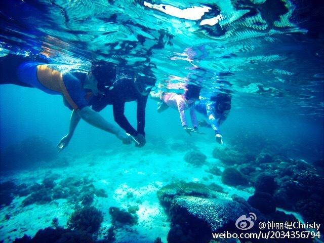 全战：不列颠王座